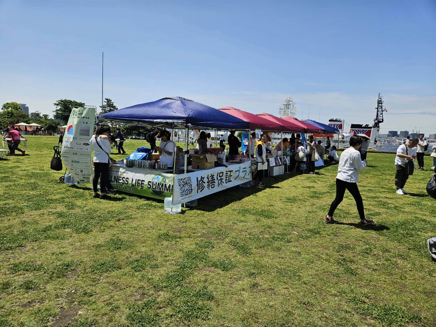 Wellness Life Summit 2025